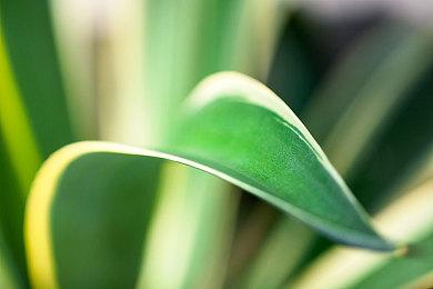 银河恶魔城风格新作《戈德曼的永生》实机预告片